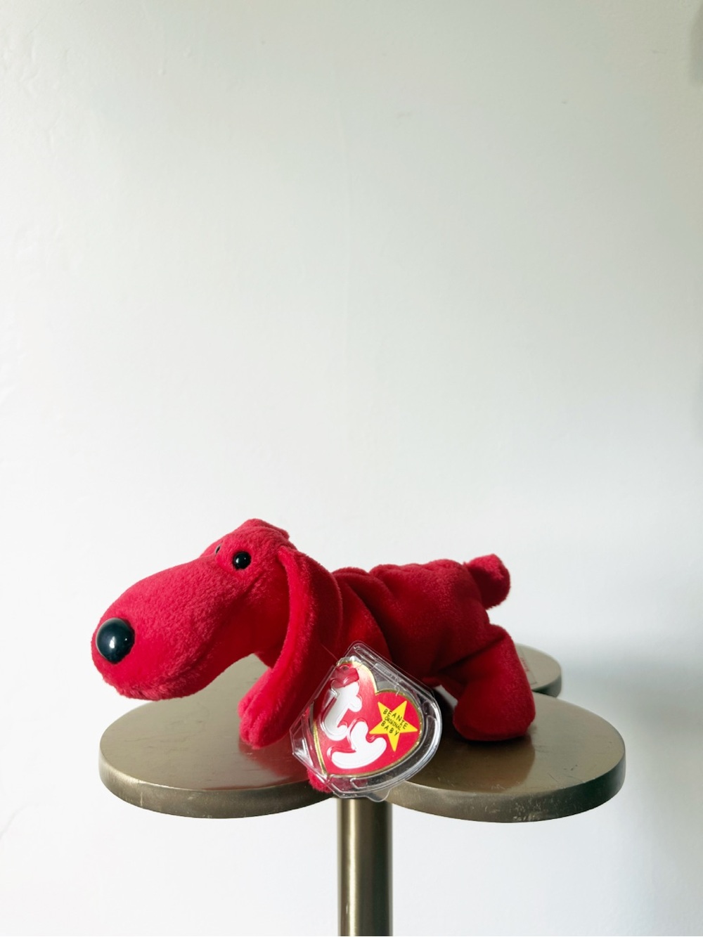 Ty Beanie Baby Dog Rover 1996 Collectible